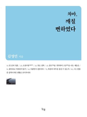 cover image of 차마, 깨칠 뻔하였다